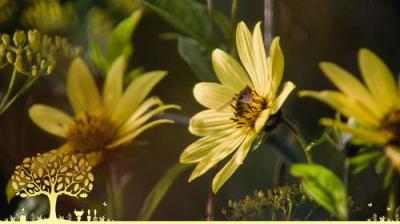 Gardeners' World