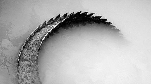 Gator Boys filmas žiurėti online