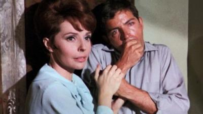 The Fugitive