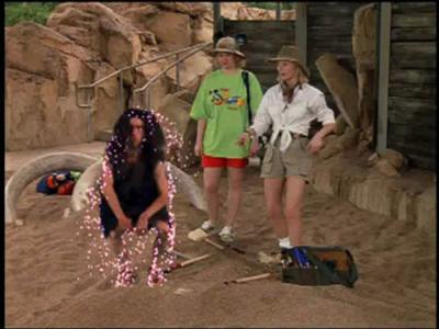 Sabrina, the Teenage Witch