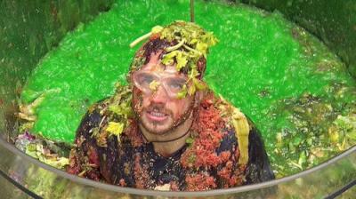 I'm a Celebrity...Get Me Out of Here!