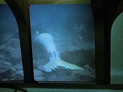 Voyage to the Bottom of the Sea