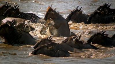 Didžiosios migracijos