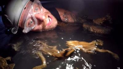 I'm a Celebrity...Get Me Out of Here!