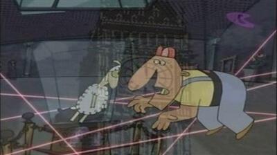 Sheep in the Big City