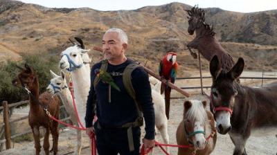 Cesar Millan: Better Human, Better Dog