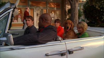 Pushing Daisies
