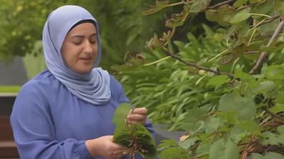 Gardening Australia