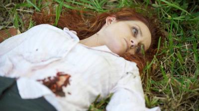 The Glades