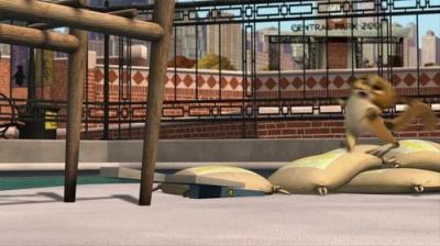 Madagaskaro pingvinai