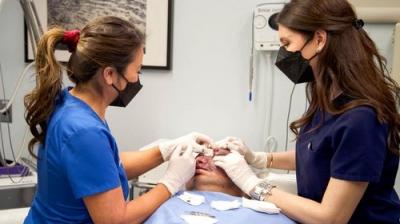Dr. Pimple Popper