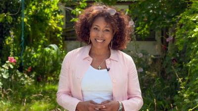 Homes Under the Hammer