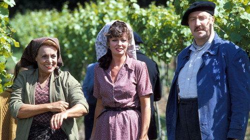 'Allo 'Allo! filmas žiurėti online