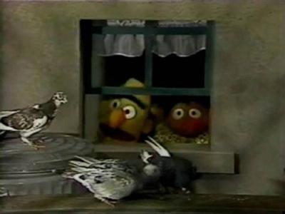 Sesame Street