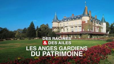 Des racines & des ailes