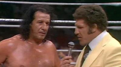 WWF All-Star Wrestling