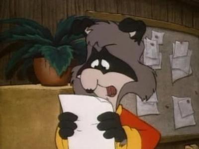 The Raccoons