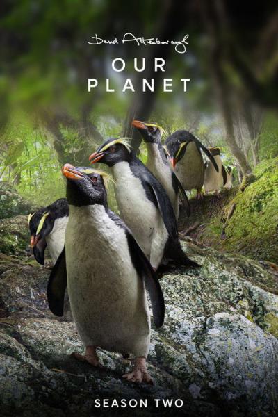 Mūsų Planeta filmas online