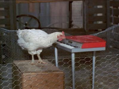 Green Acres