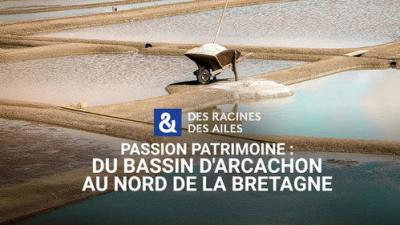 Des racines & des ailes