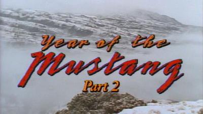 Marty Stouffer's Wild America