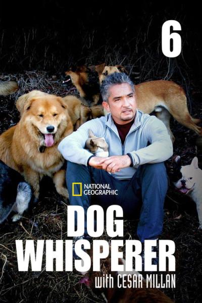 Dog Whisperer filmas online
