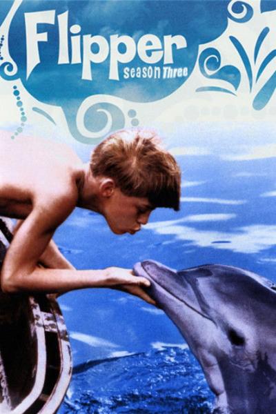 Flipper filmas online
