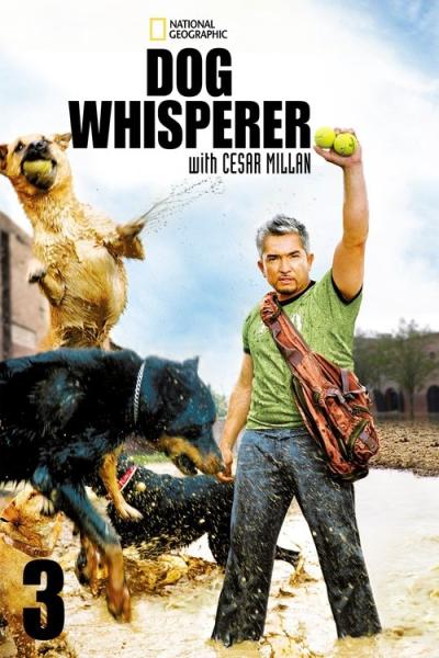 Dog Whisperer filmas online