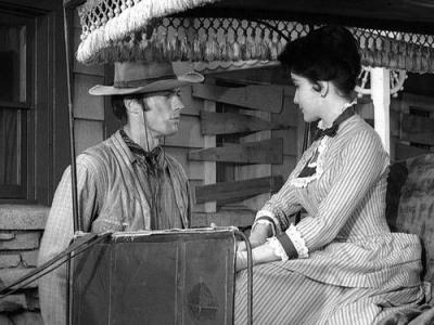 Rawhide