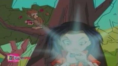 Jackie Chan Adventures