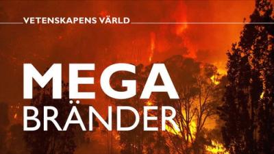 Vetenskapens värld