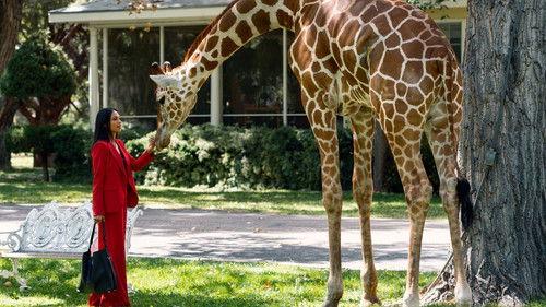 Briarpatch filmas žiurėti online