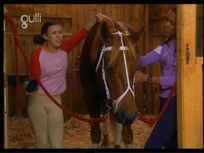 The Saddle Club