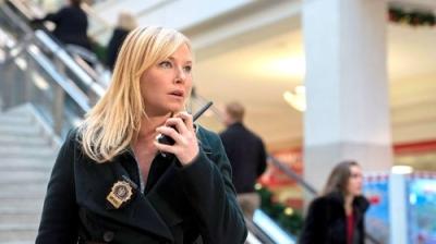 Įstatymas ir tvarka. Specialiųjų tyrimų skyrius