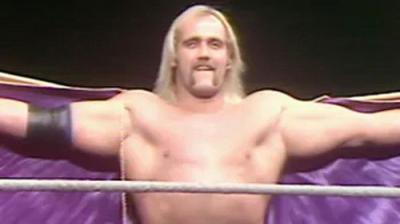 WWF All-Star Wrestling