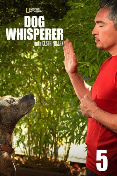 Dog Whisperer filmas online