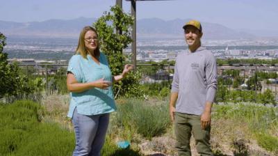 Oklahoma Gardening