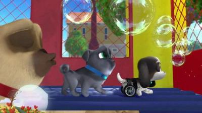 Puppy Dog Pals