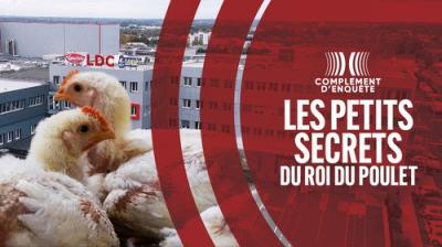 Complément d'enquête