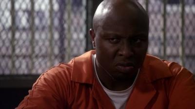 Gyvenimas pagal Harietą