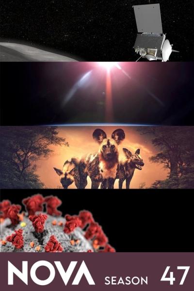 NOVA filmas online
