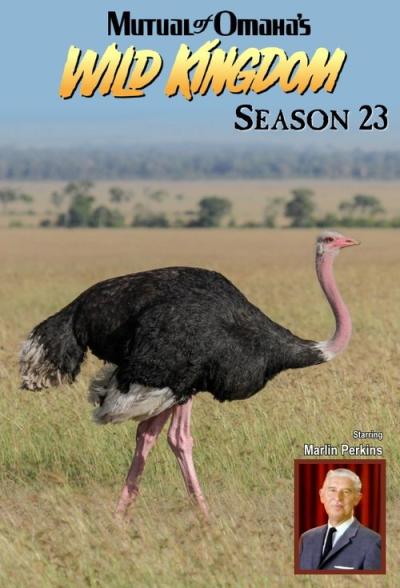 Mutual of Omaha's Wild Kingdom filmas online