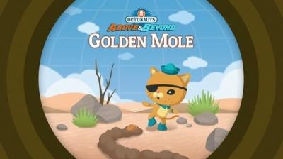 Octonauts: Above & Beyond