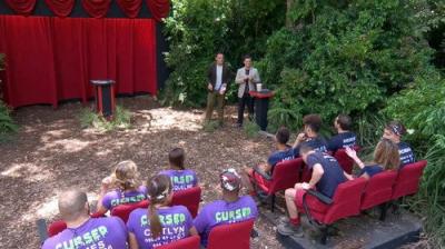 I'm a Celebrity...Get Me Out of Here!