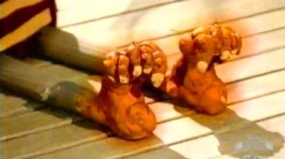 The Marvelous Misadventures of Flapjack