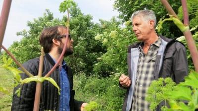 Anthony Bourdain: Parts Unknown