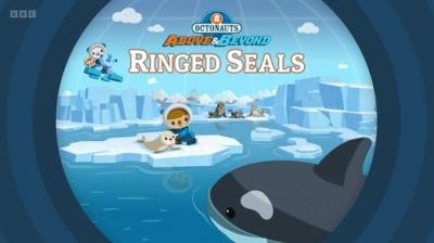 Octonauts: Above & Beyond