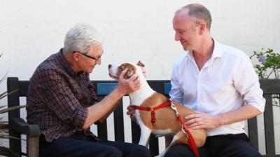 For the Love of Dogs