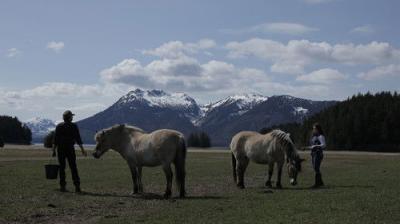 Dr. Oakley, Yukon Vet