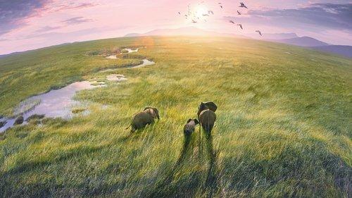 Planeta Žemė 3 filmas žiurėti online